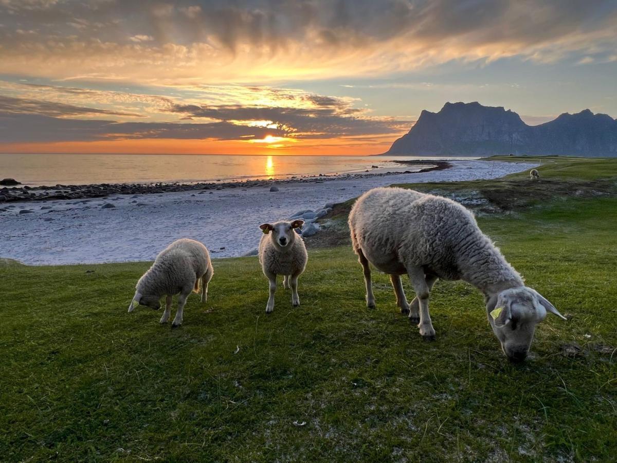 Real Fisherman'S Cabins In Ballstad, Lofoten Exterior foto
